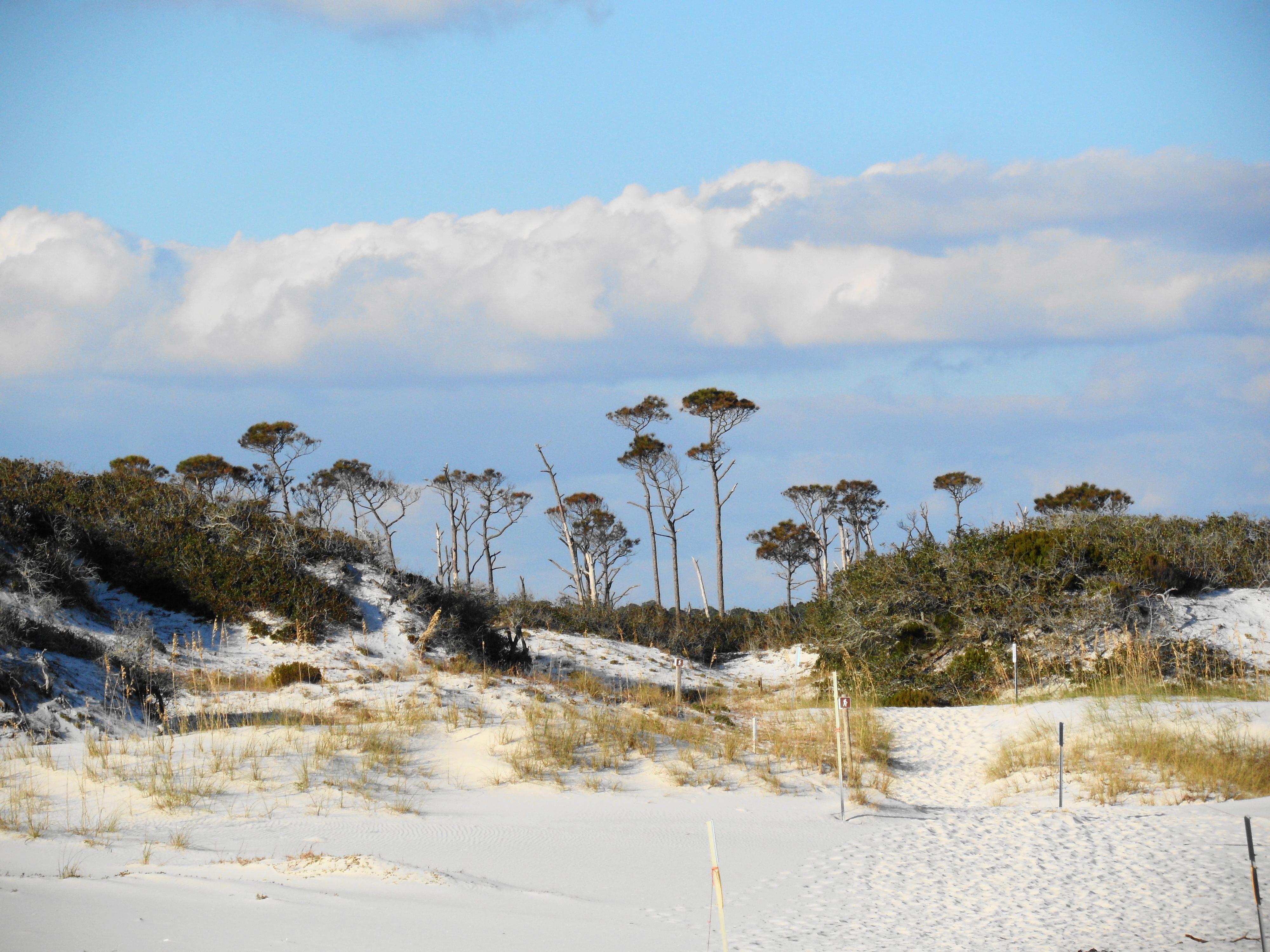 Bon Secour National Wildlife Refuge