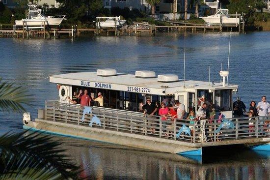 Blue Dolphin Cruises