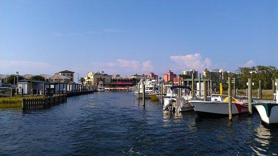 Reel Surprise Charters