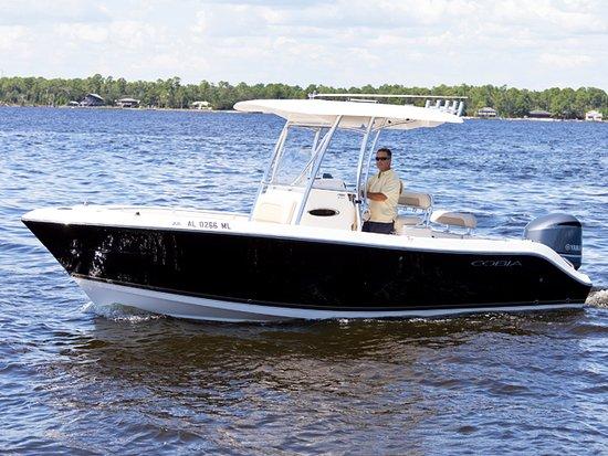 Back Bay Charters