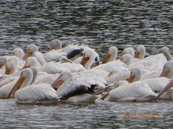 Ed Lisenby Lake