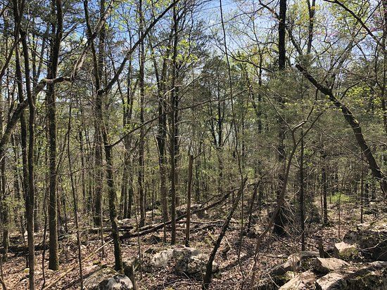 Little Cedar Mountain Trail