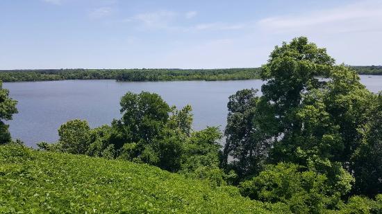 Cooters Pond Park