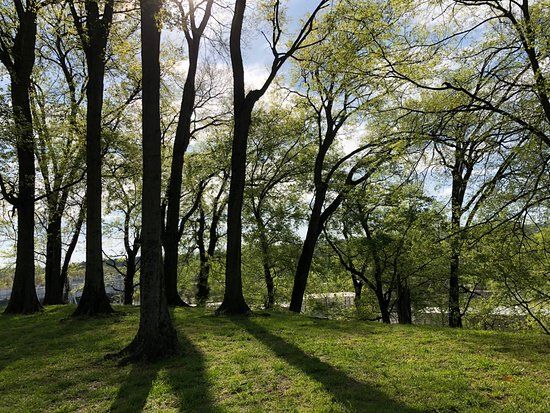 Indian Mound Museum