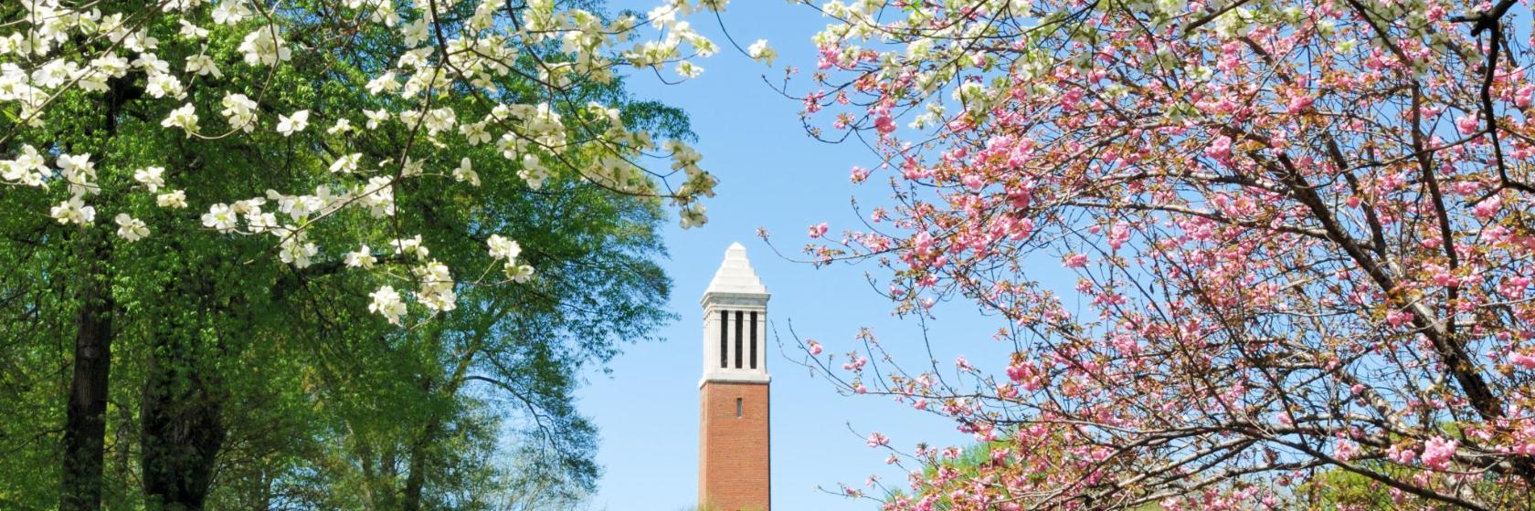 University of Alabama